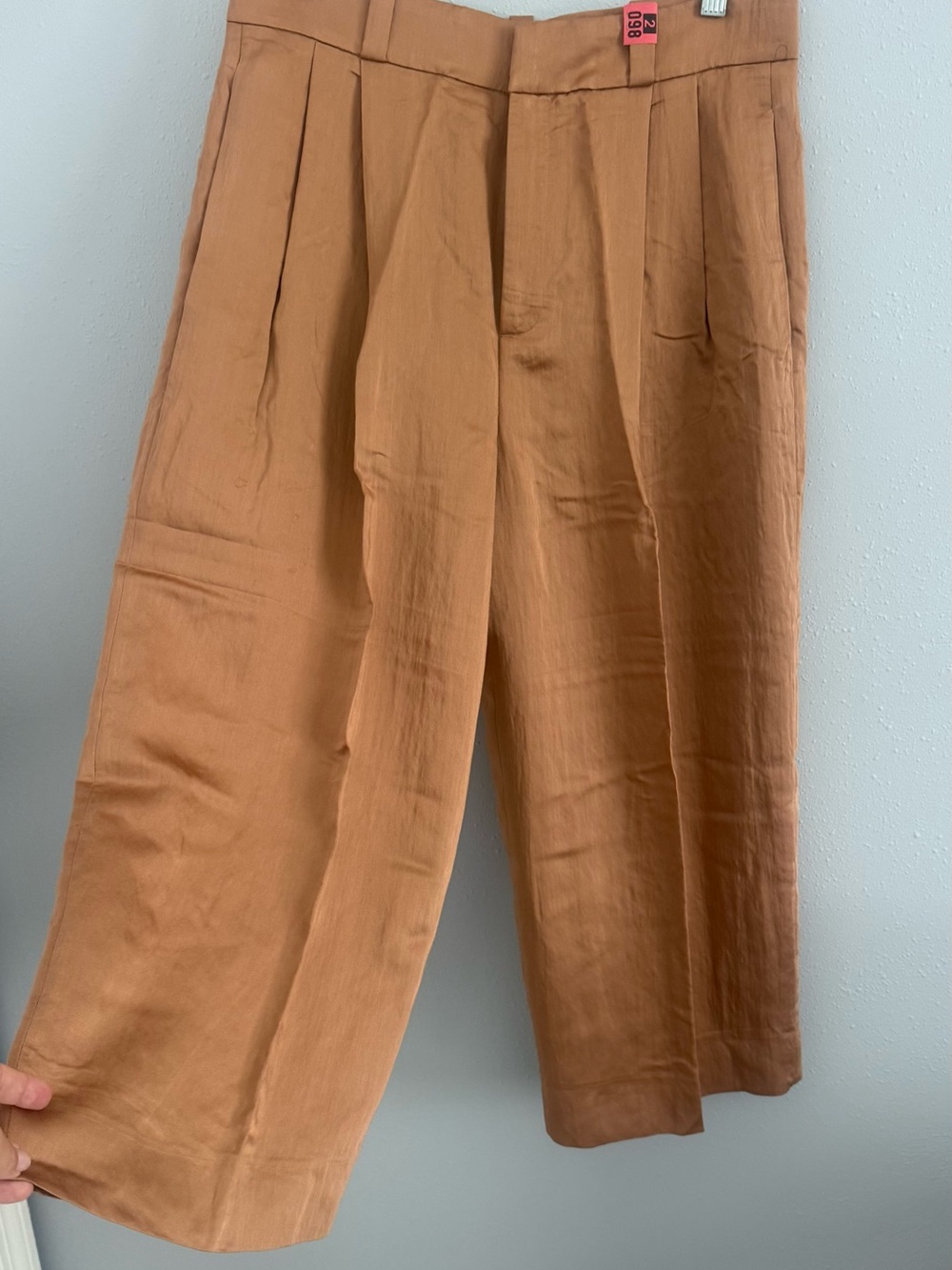Zara Women's Pleated Culotte in Warm Bronze Tan